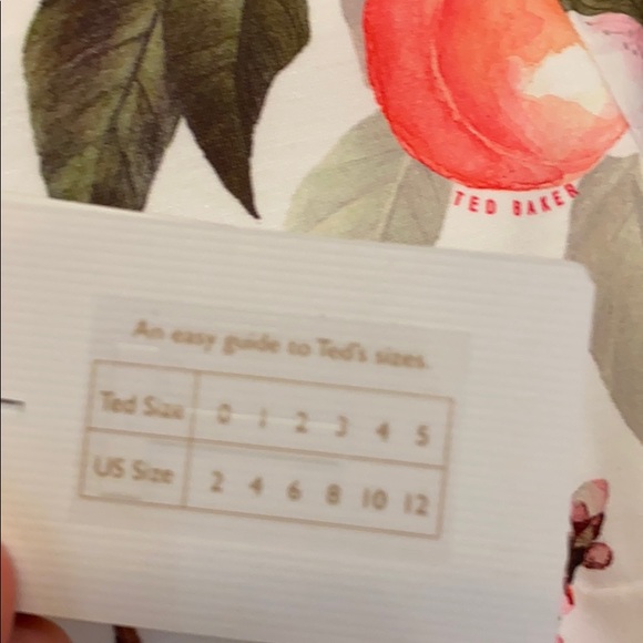 Ted Baker London Areea Peach Blossom Dress Size 1 - Picture 6 of 6